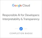 Responsible AI for Developers Interpretability & Transparency